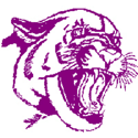 A fierce, roaring panther illustration in purple.