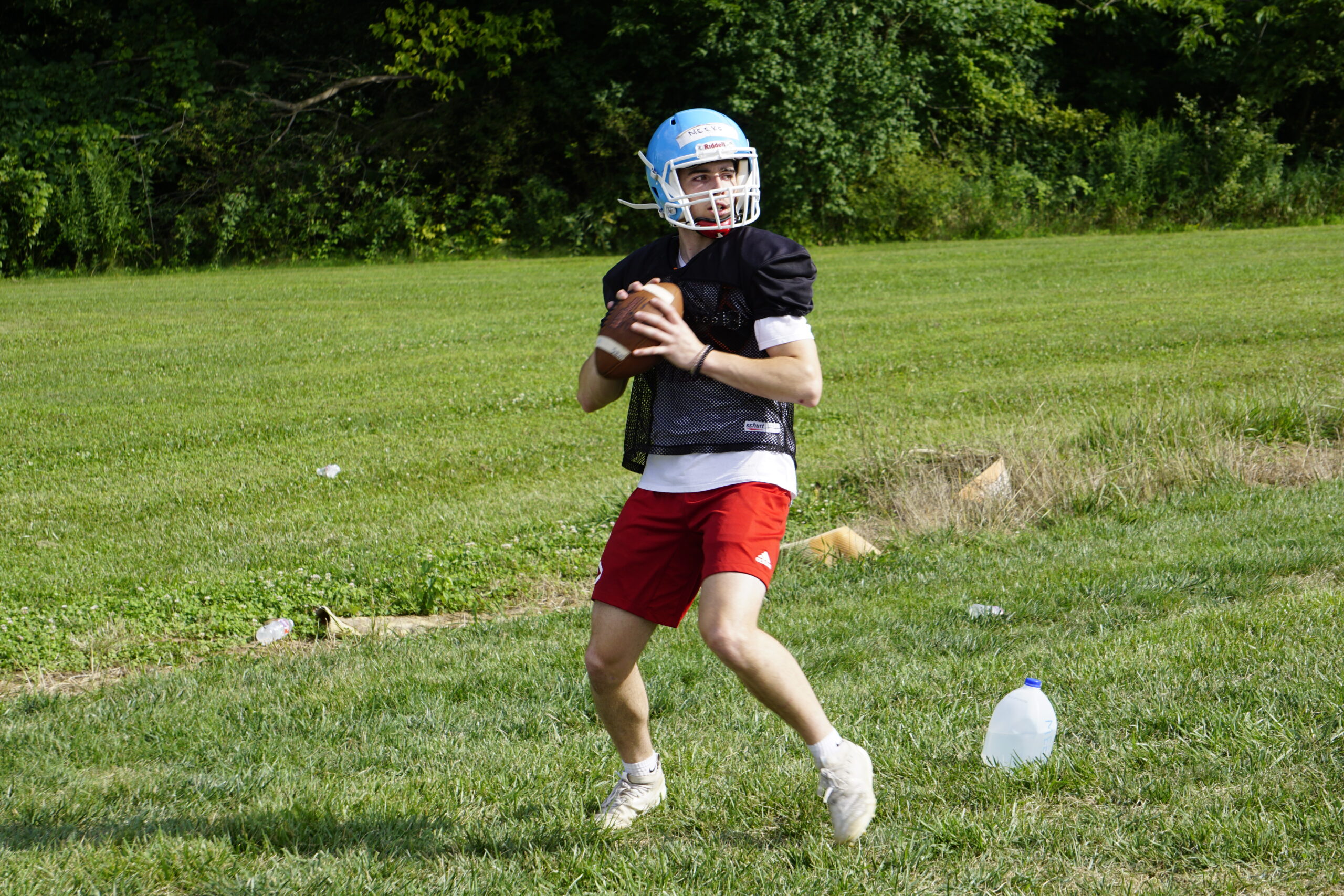 A football player prepares to throw the ball on a grassy field.