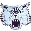 Illustration of a fierce wildcat with bared teeth.