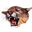 A roaring tiger head with sharp teeth and fierce eyes.
