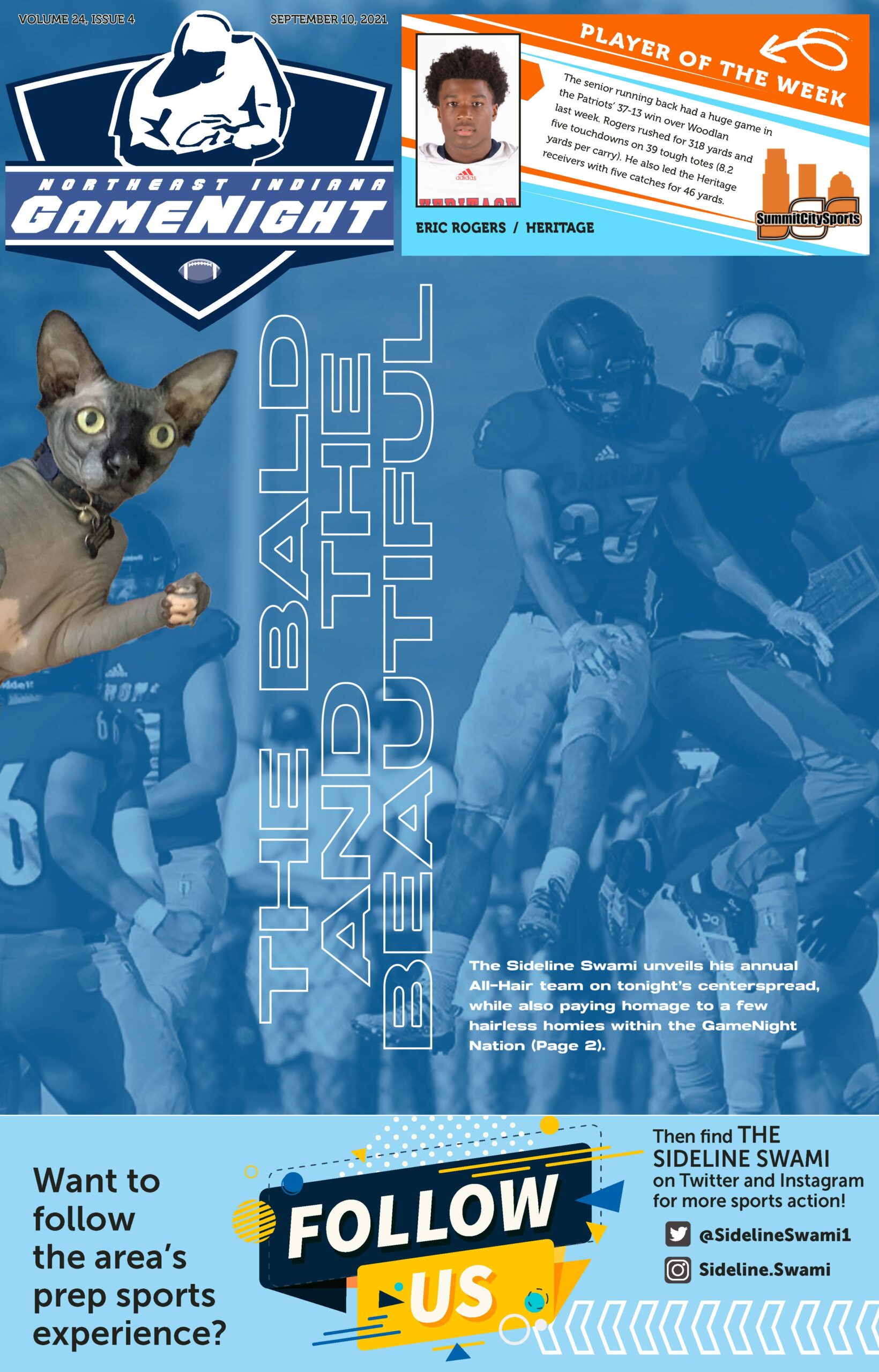 A Chihuahua dog in a Dallas Cowboys jersey with a football game background.