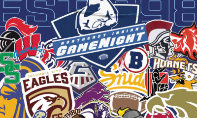 A vibrant collage of various sports team logos and mascots.